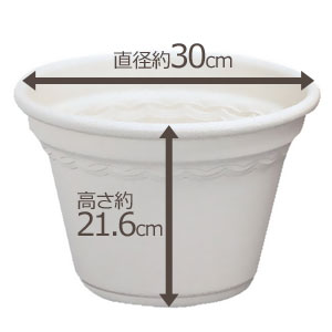 アイリスオーヤマ コルティポット ウォームベージュ 10号