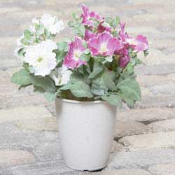 アイリスオーヤマ 和彩長鉢 白砂 5号