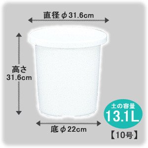 アイリスオーヤマ ティルトケンガイ鉢 ホワイト 10号