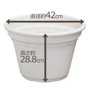 アイリスオーヤマ コルティポット ウォームベージュ 14号