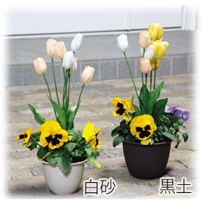 和彩中鉢 白砂 7号