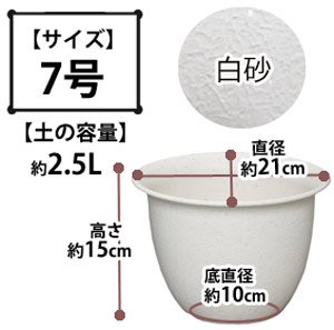 和彩中鉢 白砂 7号
