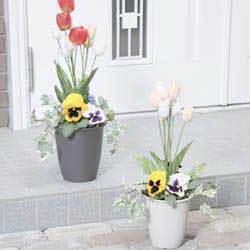 アイリスオーヤマ 和彩長鉢 黒土 7号