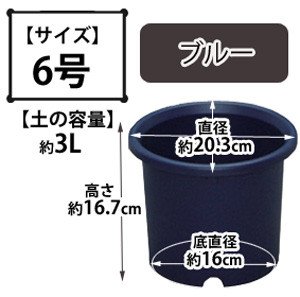 ディーポット ブルー 6号