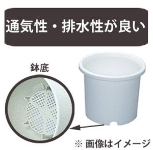 ディーポット ブルー 9号