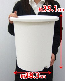 アイリスオーヤマ ディーポット ホワイト 10号