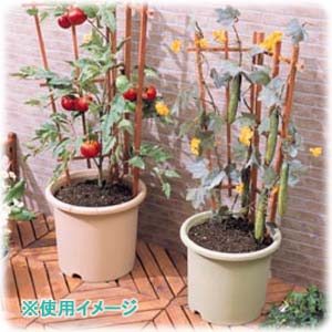 アイリスオーヤマ ベジタブルポット ベジタブルグリーン 10号