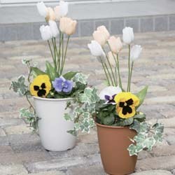 アイリスオーヤマ セレーヌハイポット ウォームベージュ 9号