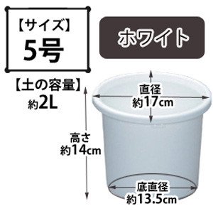 ディーポット ホワイト 5号