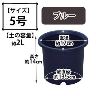 ディーポット ブルー 5号