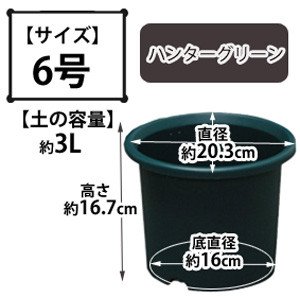 ディーポット ハンターグリーン 6号