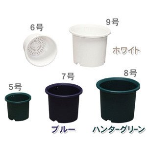 ディーポット ハンターグリーン 6号