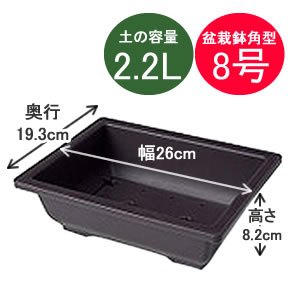 アイリスオーヤマ 盆栽鉢角型 こげ茶 8号