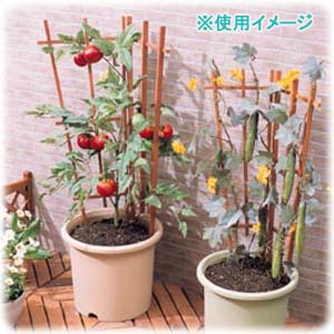 アイリスオーヤマ ベジタブルポット ベジタブルブラウン 8号