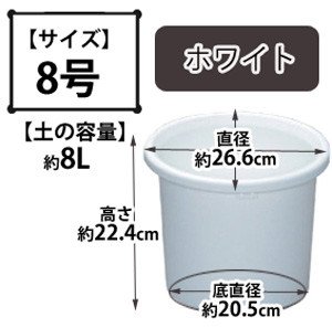 ディーポット ホワイト 8号