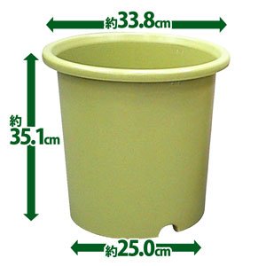 アイリスオーヤマ ベジタブルポット深型 ベジタブルグリーン 10号