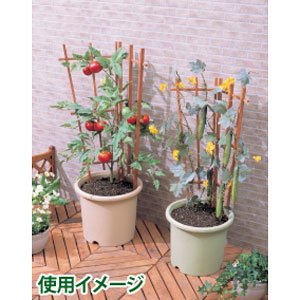 アイリスオーヤマ ベジタブルポット深型 ベジタブルグリーン 10号