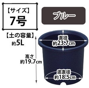 ディーポット ブルー 7号