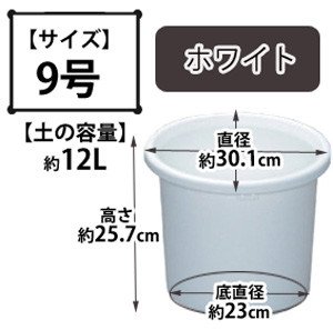 ディーポット ホワイト 9号