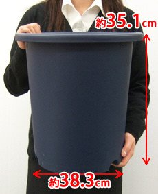 アイリスオーヤマ ディーポット ブルー 10号