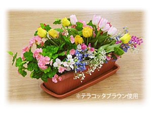 アイリスオーヤマ プランター受皿 ウォームベージュ 650