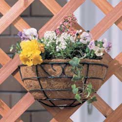 アイリスオーヤマ パームワイヤーバスケットウォールタイプ グリーン PE-250W