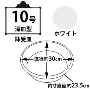 鉢受皿中深型 ホワイト 10号