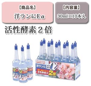 洋ランにEα