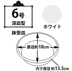 鉢受皿中深型 ホワイト 6号