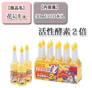 花にEα