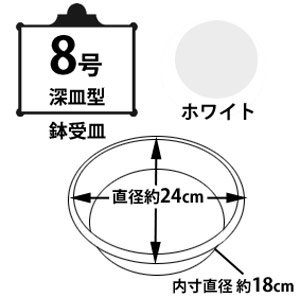 鉢受皿中深型 ホワイト 8号