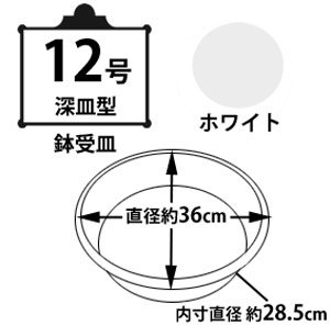 鉢受皿中深型 ホワイト 12号