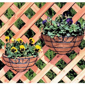 アイリスオーヤマ パームワイヤーバスケットフックタイプ グリーン PE-250F