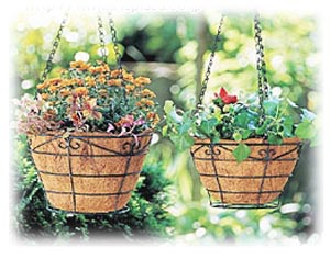 パームハンギングバスケット深型 グリーン PED-300