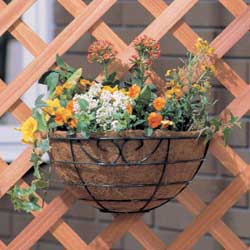 アイリスオーヤマ パームワイヤーバスケットウォールタイプ グリーン PE-300W