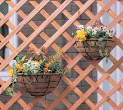 アイリスオーヤマ パームワイヤーバスケットウォールタイプ グリーン PE-300W