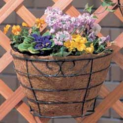 アイリスオーヤマ パームワイヤーバスケット深型フックタイプ グリーン PED-300F