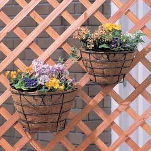 アイリスオーヤマ パームワイヤーバスケット深型フックタイプ グリーン PED-300F