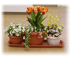 アイリスオーヤマ プランター受皿 テラコッタブラウン 700