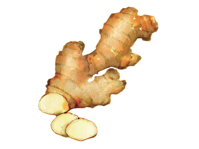 Amazon Co Jp コカ コーラ ラブボディ ジンジャーワークス 350mlpet 24本 Food Beverages Alcohol