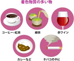 Panasonic 音波振動ハブラシ ステインオフ ドルツ