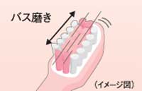 Panasonic 音波振動ハブラシ ステインオフ ドルツ