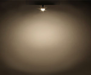 TWINBIRD LED電球 昼白色相当 LE-LAN2N (E26口金)