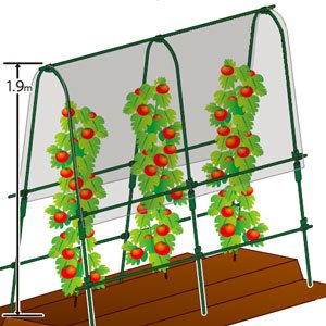アイリスオーヤマ ベジタブルアーチセットビニールシートタイプ グリーン VA-19V