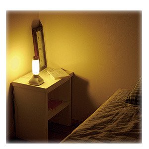 アイリスオーヤマ 充電式LEDセンサーライト TSL-05J