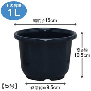 アイリスオーヤマ SE中鉢 ダークブルー 5号