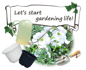 SE中鉢 ダークブルー 8号