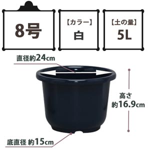 SE中鉢 ダークブルー 8号