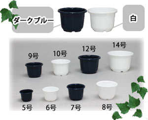 SE中鉢 ダークブルー 8号
