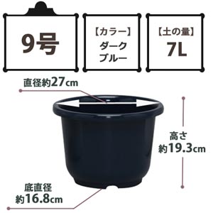 SE中鉢 ダークブルー 9号